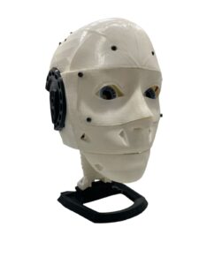 Inmoove head