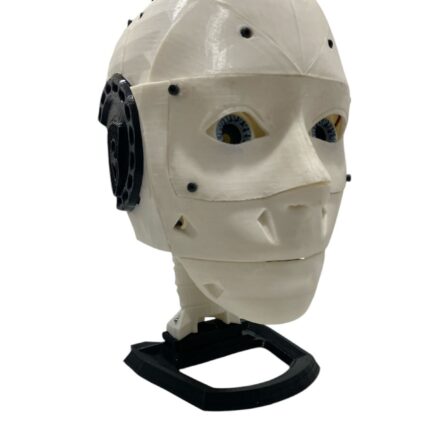 Inmoove head